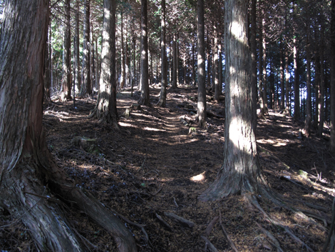 20161216hike (157)